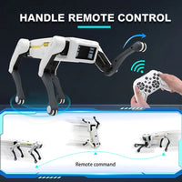 Robot Dog Toy with Programmable Remote Control and Voice Interaction
