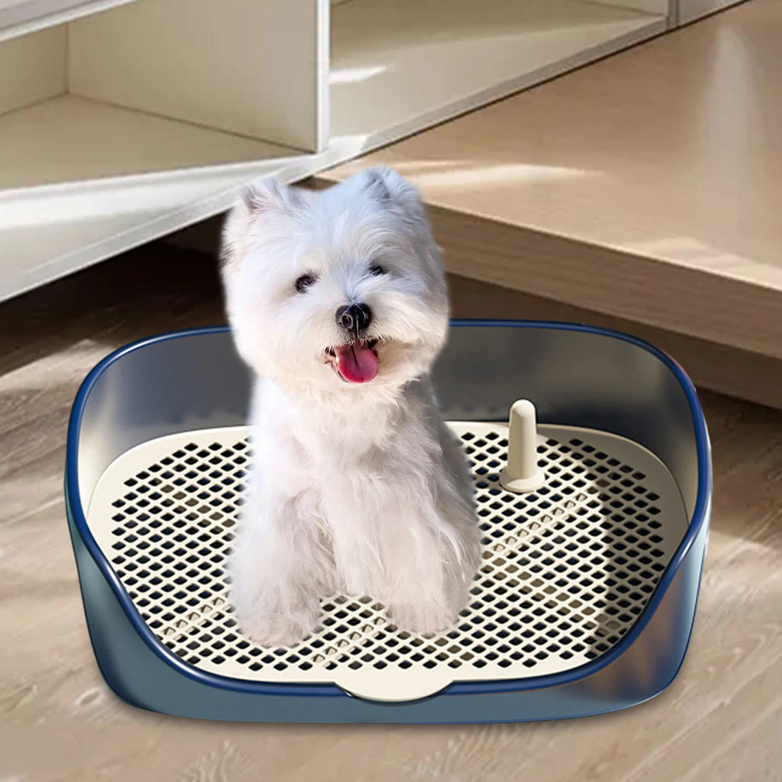 Pet Dog Toilet Portable Dog Potty Pan Trainer Litter Box Anti-Splash Pets Wc Toilet Puppy Kitten Cleaning Tool - Buy online at  Vibe In Cart.