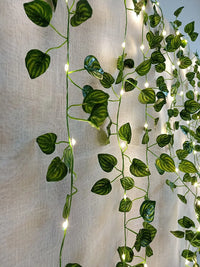 2Meter Fake Green Leaf Ivy Vine with LED Lights String for Home Bedroom Decor Wedding Glowing Artifical Plant Garland Home Decor - Buy online at  Vibe In Cart.