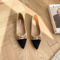 Spring and Autumn New Pointed Toe Single Shoes Shallow Mouth Slip-on Flats Metal Decoration Low-heeled Women's Shoes - Buy online at  Vibe In Cart.