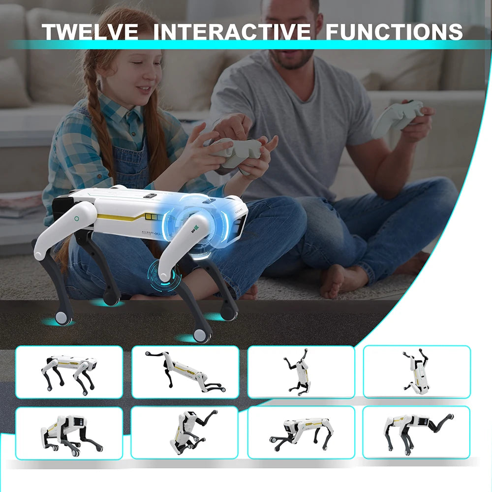 Robot Dog Toy with Programmable Remote Control and Voice Interaction