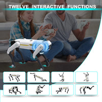 Robot Dog Toy with Programmable Remote Control and Voice Interaction