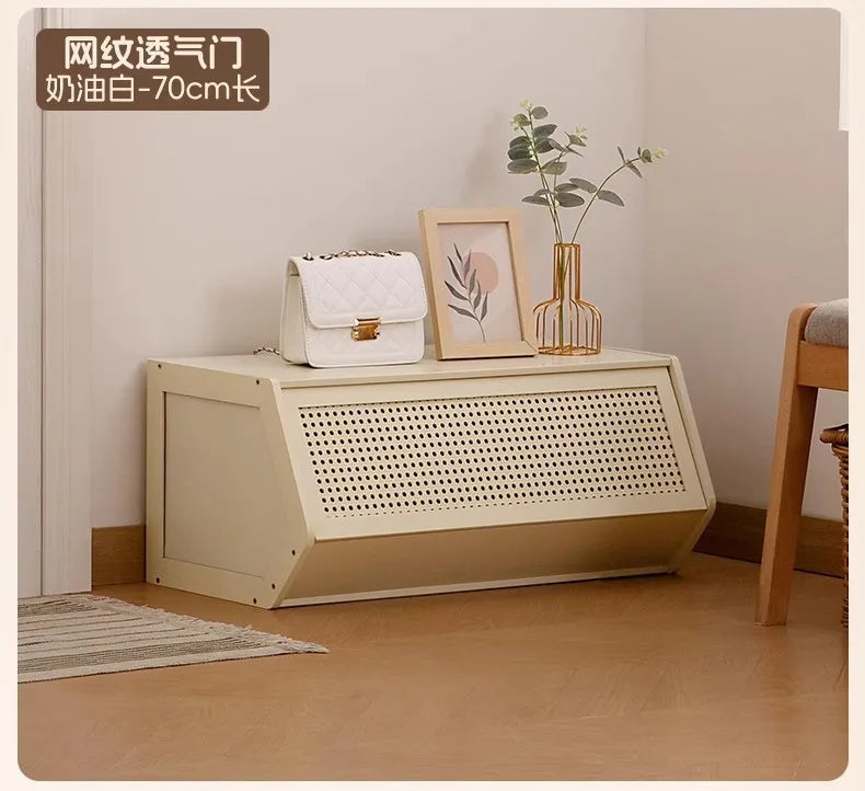 Multi-Layer Shoe Cabinet with Door for Dust-Proof Storage