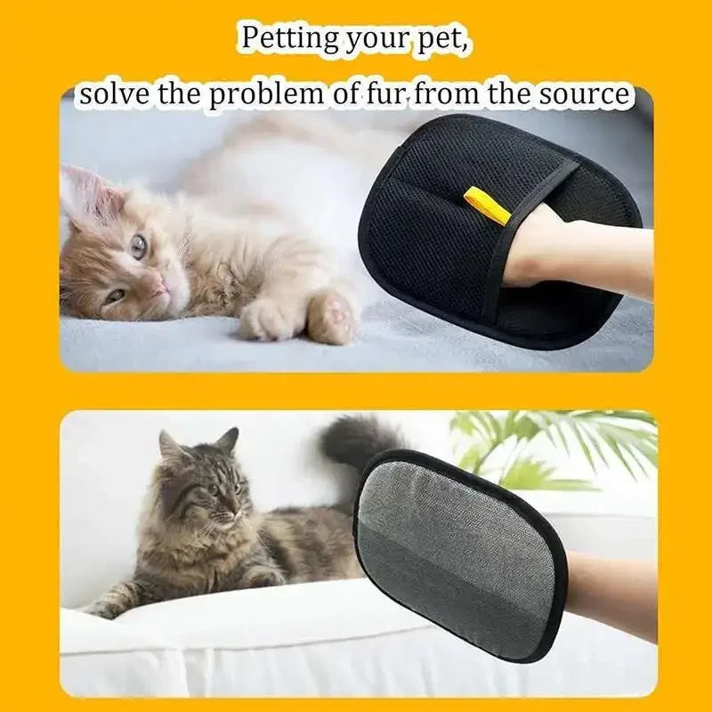 Pet Hair Removal Set Tool Reusable Static Removal Gloves Double-Sided Grooming Gloves Remove Dog Cat Fur Hair for Carpets Sofa - Buy online at  Vibe In Cart.