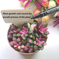 10/20/30PCS Garden Marker Plant Identification Cards Garden Labels Plant Sign Tags Markers for Plants ZWBQP01 - Buy online at  Vibe In Cart.