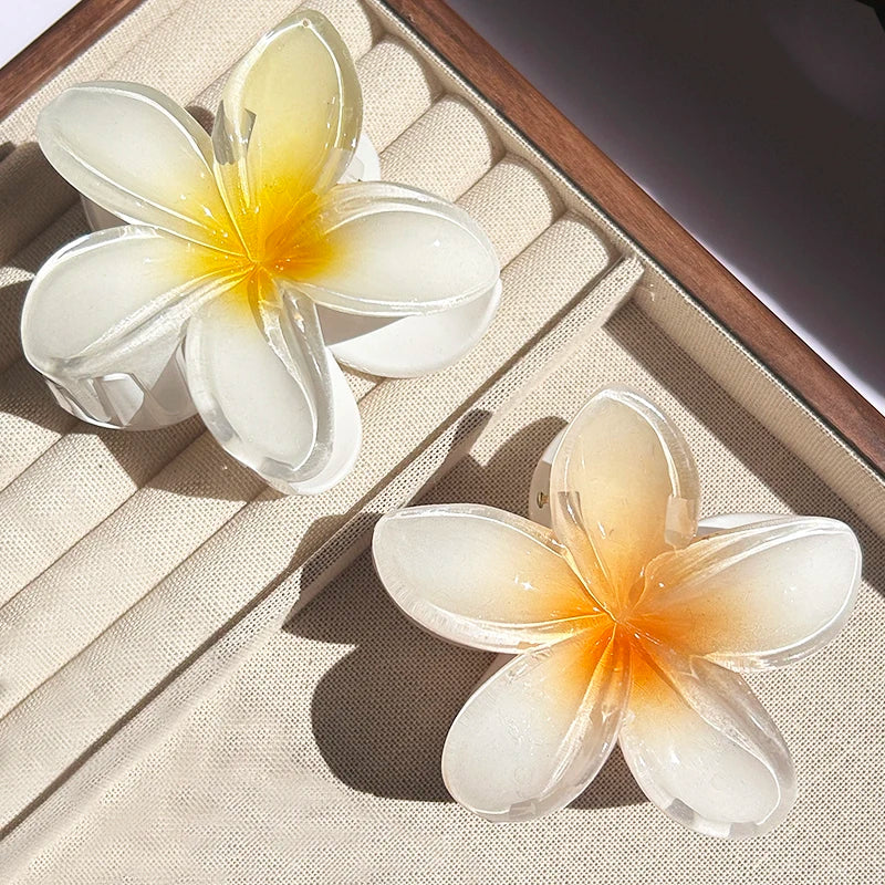 Large Plastic Hair Claw Clip for Women, Bohemian Style, 1-3 Pack