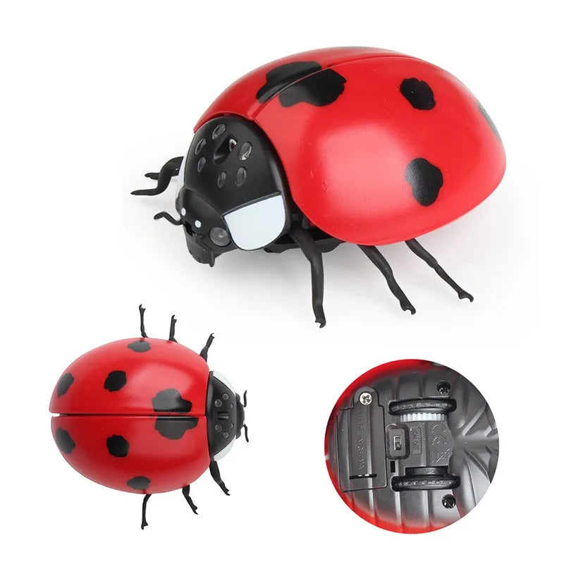 Remote Control Robotic Insect Prank Toy for Ages 6 and Up