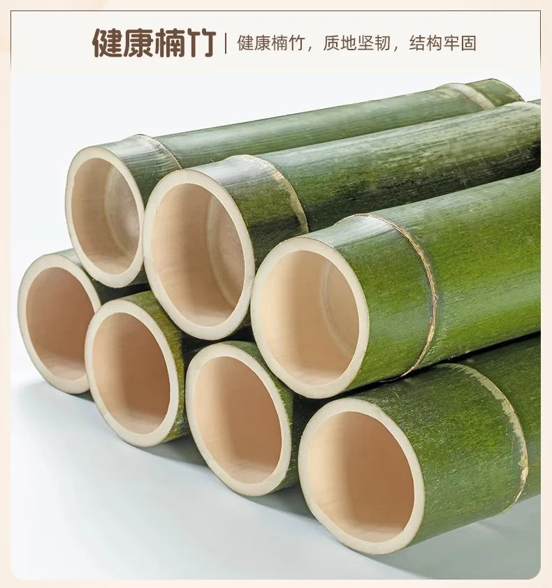 Simple shoe cabinet Household multi-functional free combination storage cabinet Shoe rack Multi-layer with door dust-proof shoe - Buy online at  Vibe In Cart.