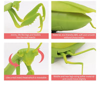 Infrared Remote Control Mini Mantis Insect Simulation Toy