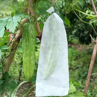 1/3Pcs Plant Covers Freeze Protection Non-woven Fabric Frost Cloth Plants Jacket Drawstring Tree Cover for Outdoor Plants - Buy online at  Vibe In Cart.
