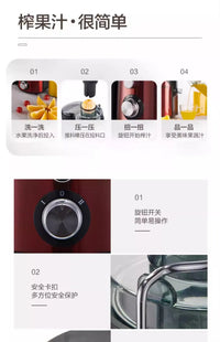 Stainless Steel Spiral Juicer with Automatic Pulp Ejection, 500-1000ml Capacity