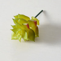 1Pcs Artificial Succulent Plants Green Plant Decorations Cactus Small Ornaments Indoor Office Potted Bonsai Garden Arrange Decor - Buy online at  Vibe In Cart.