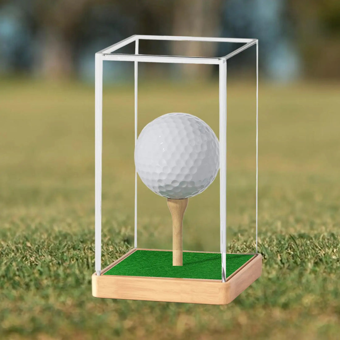Golf Ball Display Box Multiuse Storage Box for Earphone Small Toys Baseball - Buy online at  Vibe In Cart.