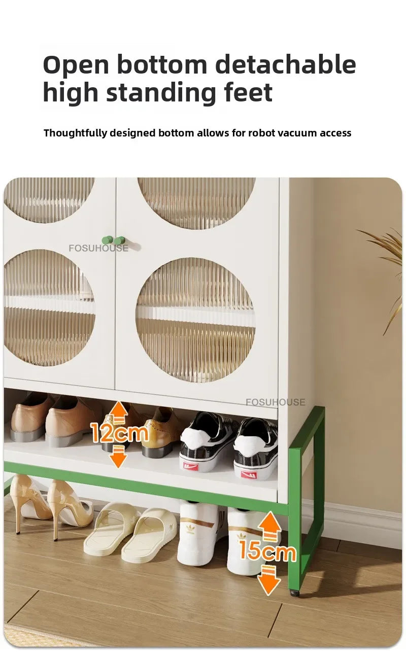 Minimalist Steel Shoe Organizer Home Shoes Storage Entryway Storage Locker Light Luxury Creative Shoe Cabinets for Living Room - Buy online at  Vibe In Cart.