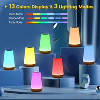 13 Color Changing Night Light Remote Control Touch USB Rechargeable RGB Night Lamp Dimmable Lamp Portable Table Bedside Lamp - Buy online at  Vibe In Cart.