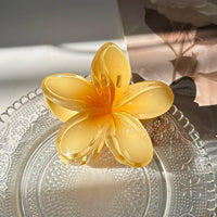 Large Bohemia Style Plastic Flower Hair Clip for Women