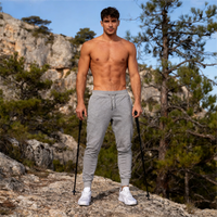 New Men’s Casual thin Sports Pants Running Workout Jogging Long Pants Gyms Sport Trousers for Men Fitness Jogger Sweatpants - Buy online at  Vibe In Cart.