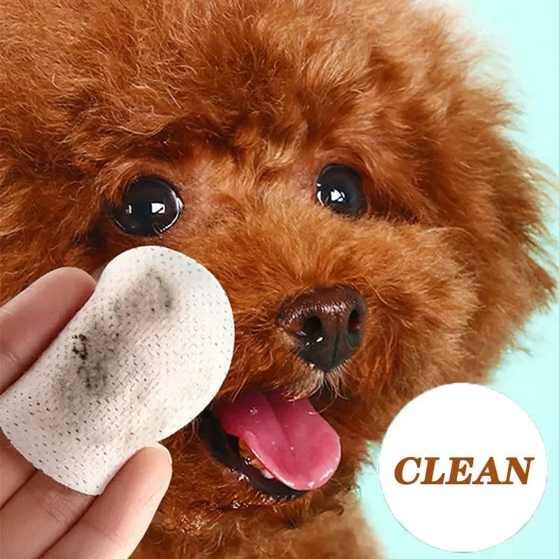 Pet Eye Wipes Cat and Dog Tearmark Wet Wipes Cat and Dog Universal No Irritation Cleaning Products 130 Pieces Wipes Pet Supplies - Buy online at  Vibe In Cart.
