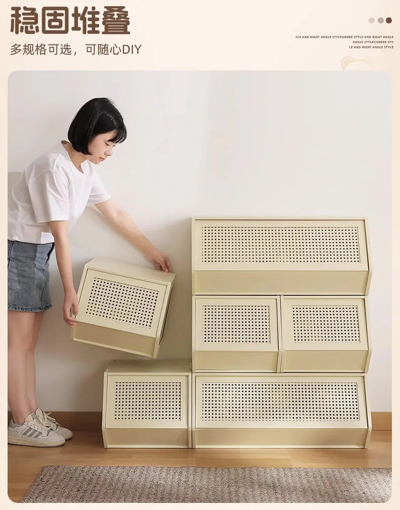 Multi-Layer Shoe Cabinet with Door for Dust-Proof Storage