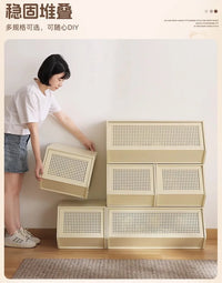 Multi-Layer Shoe Cabinet with Door for Dust-Proof Storage