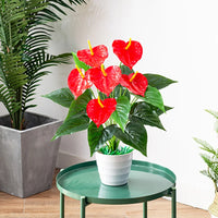 53cm Artificial Monstera Leaves Home Plastic Palm Fronds Fake Anthurium Greenery Tree Big Herb Plant For Garden Outdoor Decor - Buy online at  Vibe In Cart.