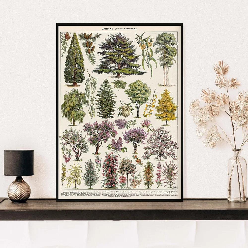 Vintage Adolphe Millot Encyclopedia Posters and Prints Botanical Mushrooms Herbs Flowers Insect Canvas Paintings Wall Art Decor - Buy online at  Vibe In Cart.