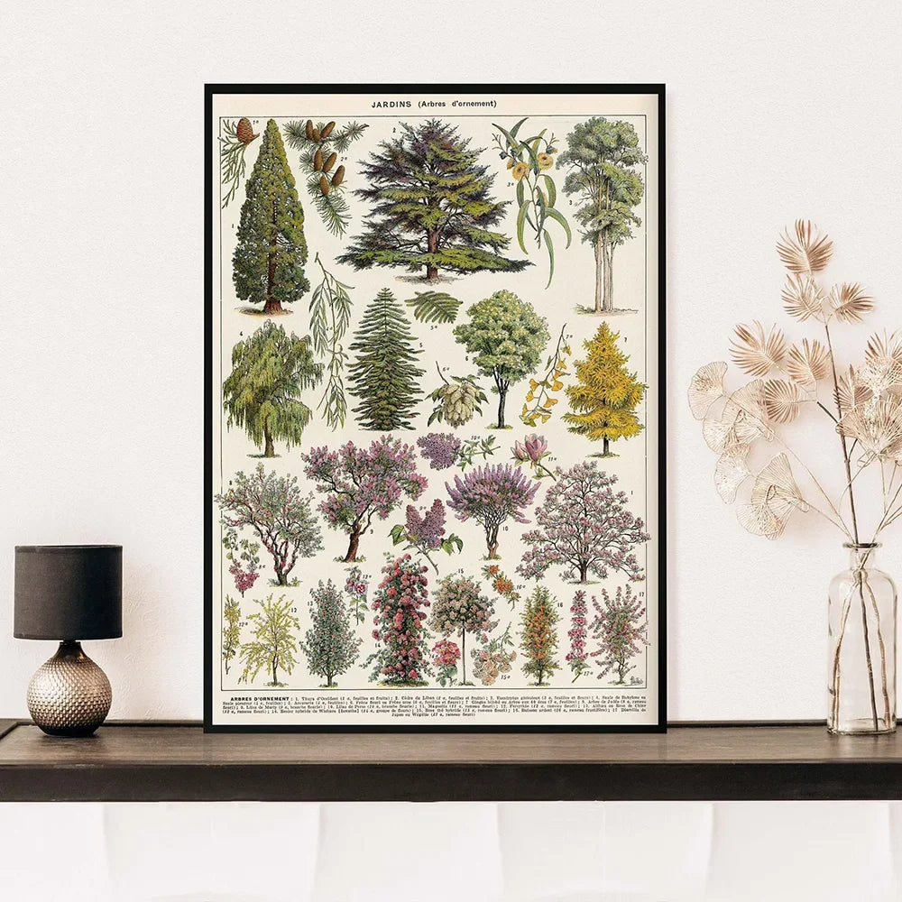 Vintage Adolphe Millot Encyclopedia Posters and Prints Botanical Mushrooms Herbs Flowers Insect Canvas Paintings Wall Art Decor - Buy online at  Vibe In Cart.