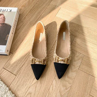 Spring and Autumn New Pointed Toe Single Shoes Shallow Mouth Slip-on Flats Metal Decoration Low-heeled Women's Shoes - Buy online at  Vibe In Cart.