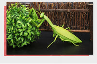 Infrared Remote Control Mini Mantis Insect Simulation Toy