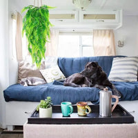 Artificial Fern Grass Persian Leaves Hanging Vines Simulation Greenery Home Decor Lifelike Indoor Plants Wall Room Decoration - Buy online at  Vibe In Cart.