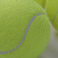 Tennis Balls High Bounce Practice Training Outdoor Elasticity Durable Tennis for Dogs Bite Chase and Chomp 6.5CM Dog Ball - Buy online at  Vibe In Cart.