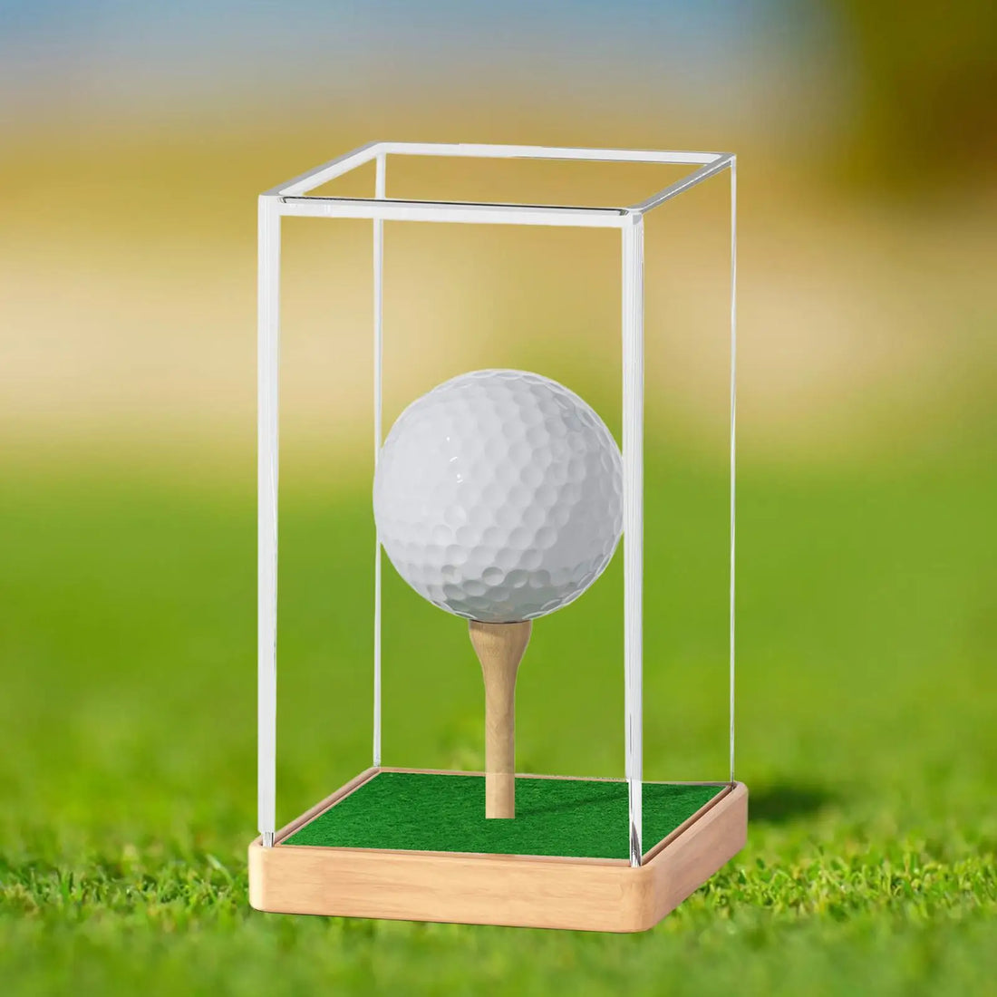 Golf Ball Display Box Multiuse Storage Box for Earphone Small Toys Baseball - Buy online at  Vibe In Cart.