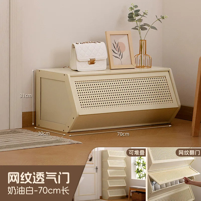 Multi-Layer Shoe Cabinet with Door for Dust-Proof Storage