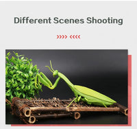 Infrared Remote Control Mini Mantis Insect Simulation Toy