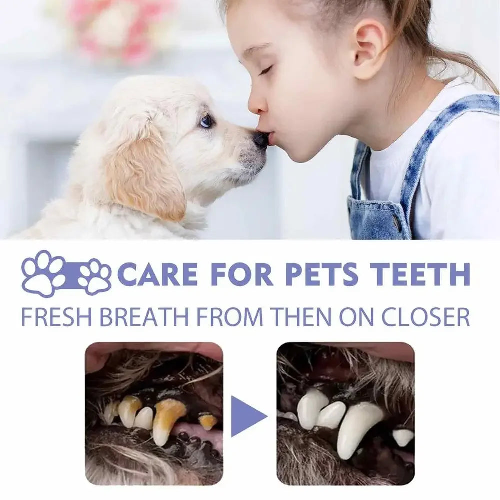 Pet Oral Cleaning Spray 50ml Dogs Cats Teeth Clean Deodorant Prevent Calculus Remove Kitten Bad Breath Mouth Fresh Pet Supplies - Buy online at  Vibe In Cart.