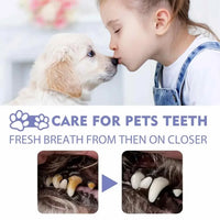 Pet Oral Cleaning Spray 50ml Dogs Cats Teeth Clean Deodorant Prevent Calculus Remove Kitten Bad Breath Mouth Fresh Pet Supplies - Buy online at  Vibe In Cart.