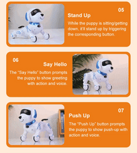 Interactive Remote Control Robot Dog with Programmable Stunts and Touch Features