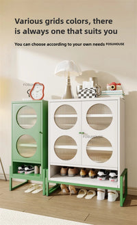 Minimalist Steel Shoe Organizer Home Shoes Storage Entryway Storage Locker Light Luxury Creative Shoe Cabinets for Living Room - Buy online at  Vibe In Cart.