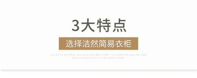 Modern Minimalist Closet Nordic Makeup Cube Jewelry Simple Portable Display Door Shelves Wardrobe Fabric Armario Hotel Furniture - Buy online at  Vibe In Cart.