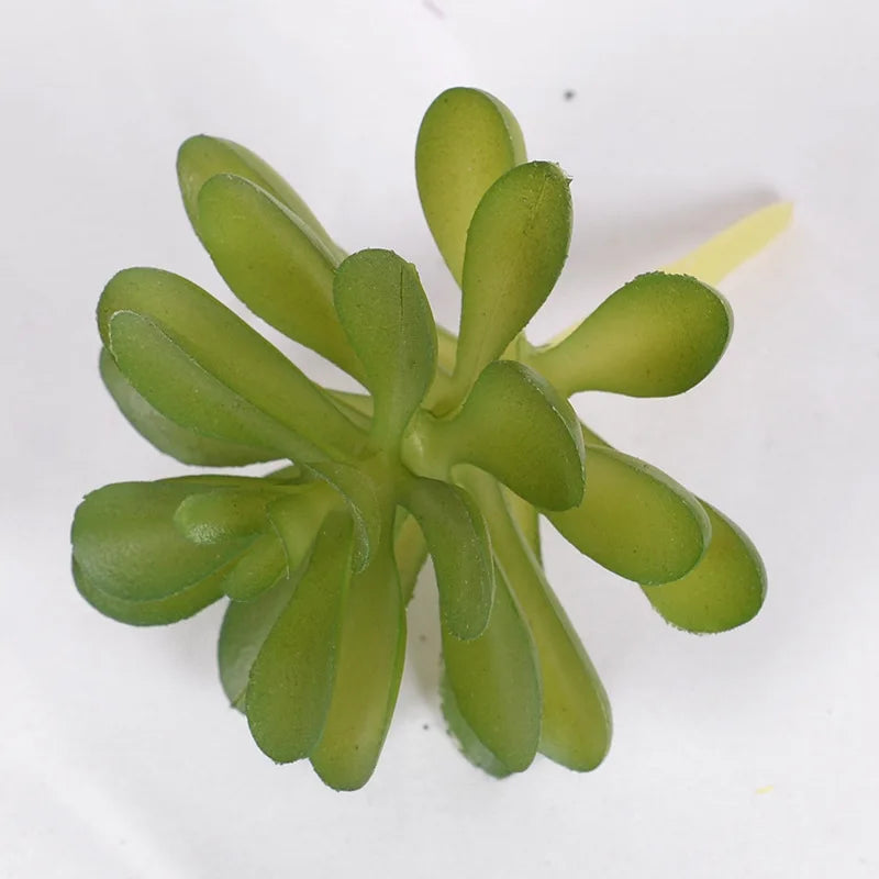 1Pcs Artificial Succulent Plants Green Plant Decorations Cactus Small Ornaments Indoor Office Potted Bonsai Garden Arrange Decor - Buy online at  Vibe In Cart.