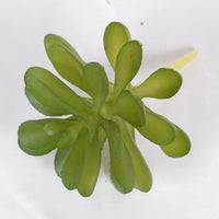 1Pcs Artificial Succulent Plants Green Plant Decorations Cactus Small Ornaments Indoor Office Potted Bonsai Garden Arrange Decor - Buy online at  Vibe In Cart.