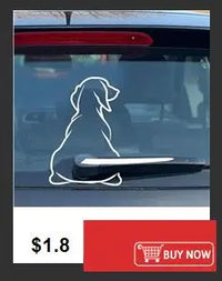 Transparent Plastic Square Desktop Document Storage Box