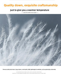 Canada Fashion Winter Jacket for Men Down Coat Parka Men's White Goose Down Jacket Long Padding Detachable Down Inner Liner H819 - Buy online at  Vibe In Cart.