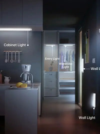 Rechargeable Light Cabinet Wardrobe Lamp Motion Sensor Light Wireless LED Night Light  Staircase Backlight For Kitchen LED - Buy online at  Vibe In Cart.