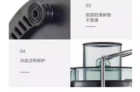 Stainless Steel Spiral Juicer with Automatic Pulp Ejection, 500-1000ml Capacity