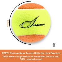 12PCS 2.5inch Low Compression Tennis Balls for Pet Dog Child Training Practice Transition Tennis Balls - Buy online at  Vibe In Cart.