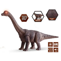 Remote Control Walking Dinosaur Toy for Ages 6-12 Years