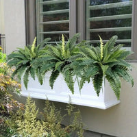 Realistic Boston Ferns 57cm/67cm Artificial Boston Fern Plants 38 Leaves UV Resistant Fake Ferns Greenery for Door Porch Decors - Buy online at  Vibe In Cart.