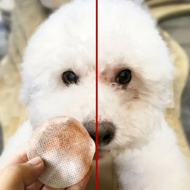130 Pcs/set of Dog and Cat Cleaning Wipes Pet Eye Wipes Grooming Tear Stain Remover Gentle Non-foaming Wipes Towels - Buy online at  Vibe In Cart.