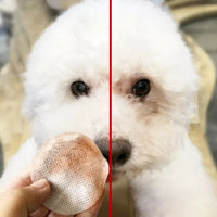 130 Pcs/set of Dog and Cat Cleaning Wipes Pet Eye Wipes Grooming Tear Stain Remover Gentle Non-foaming Wipes Towels - Buy online at  Vibe In Cart.